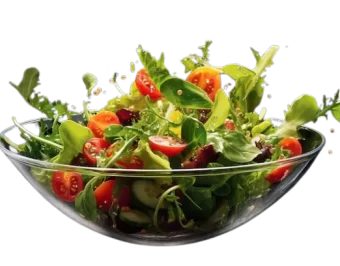 sh5crK5-removebg-preview